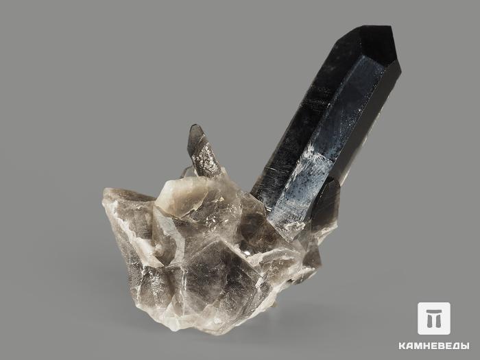 Раухтопаз (дымчатый кварц), сросток кристаллов 7,4х4,5х3 см, 9911, фото 2