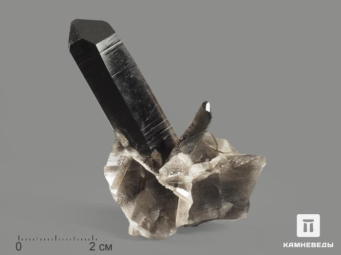 Раухтопаз (дымчатый кварц), сросток кристаллов 7,4х4,5х3 см, 9911, фото 1