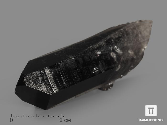 Раухтопаз (дымчатый кварц), кристалл 6,5х2,1х1,5 см, 9907, фото 1