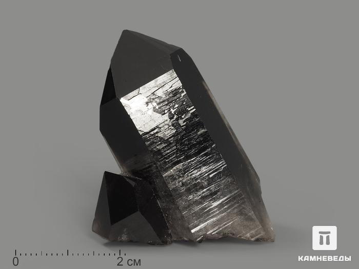 Раухтопаз (дымчатый кварц), кристалл 5,5х3,5х2,5 см, 4852, фото 1