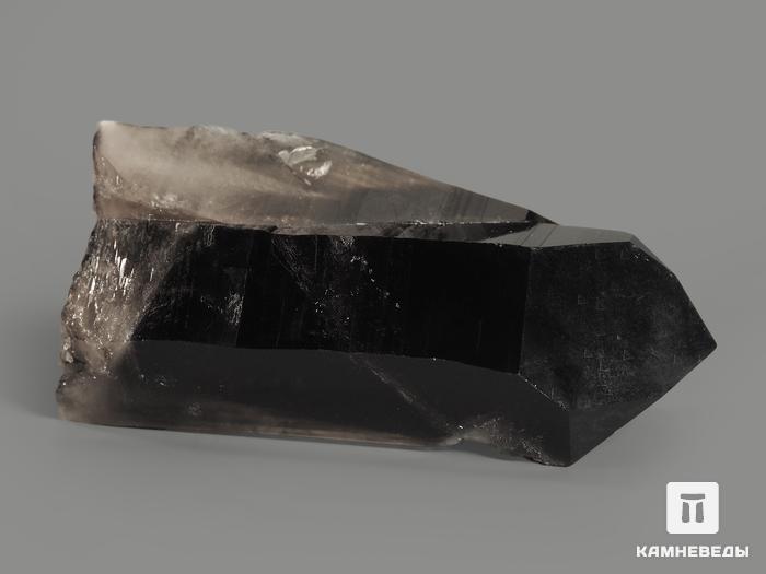 Дымчатый кварц (раухтопаз), кристалл 7х3,5х2,5 см, 7513, фото 2