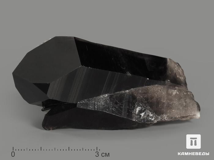 Дымчатый кварц (раухтопаз), кристалл 7х3,5х2,5 см, 7513, фото 1