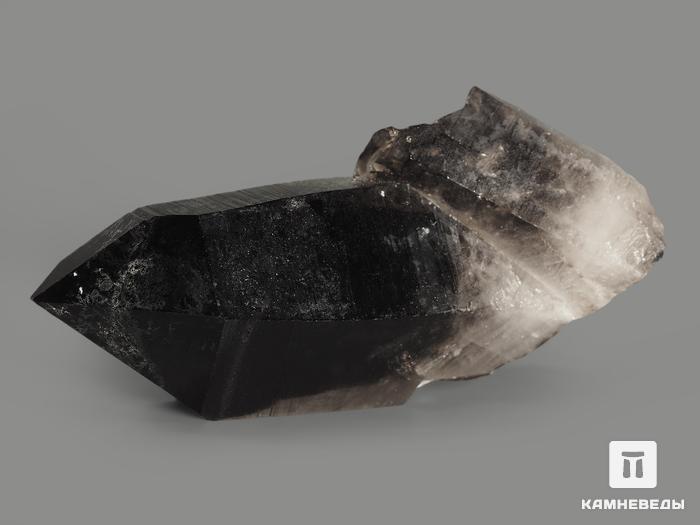 Дымчатый кварц (раухтопаз), кристалл 7х3,5х2,5 см, 7513, фото 4
