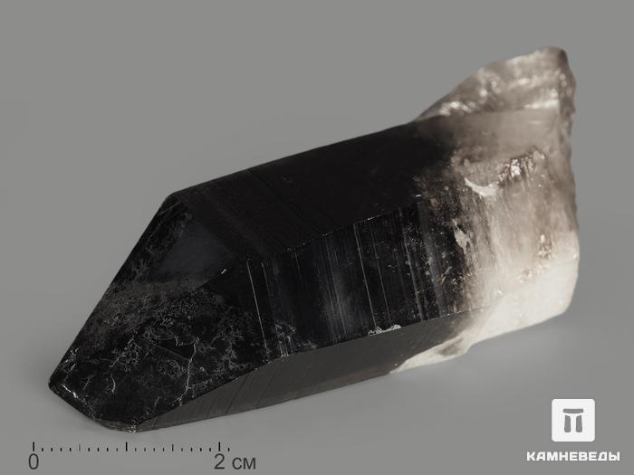 Дымчатый кварц (раухтопаз), кристалл 7х3,5х2,5 см, 7513, фото 3