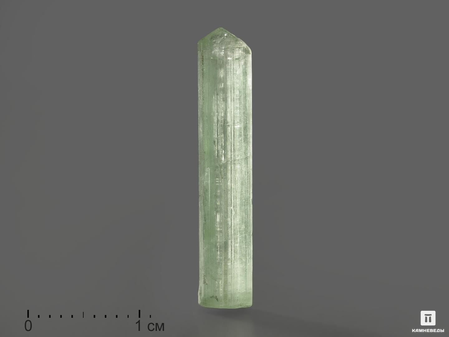 Турмалин (верделит), кристалл 2,4х0,4х0,4 см, 9847, фото 1
