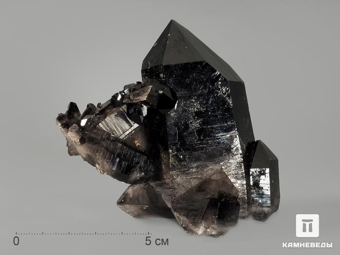 Морион (чёрный кварц), сросток кристаллов 9,4х9х5 см, 9950, фото 1