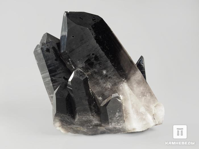 Морион (чёрный кварц), сросток кристаллов 9,3х7х4,6 см, 9943, фото 2