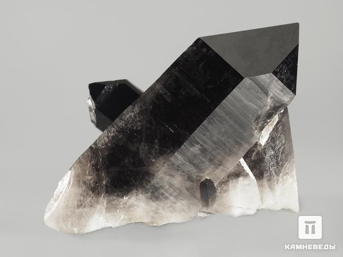 Морион (чёрный кварц), сросток кристаллов 9,7х6,3х5,1 см, 9939, фото 2