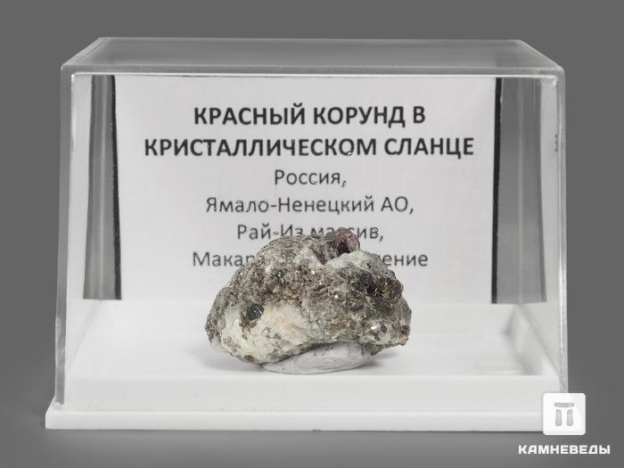 Кристаллы корунда красного в кристаллическом сланце, 2,7х2х1,3 см, 9853, фото 2