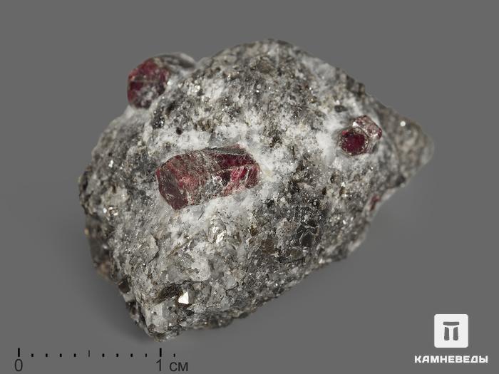 Кристаллы корунда красного в кристаллическом сланце, 2,7х2х1,3 см, 9853, фото 1