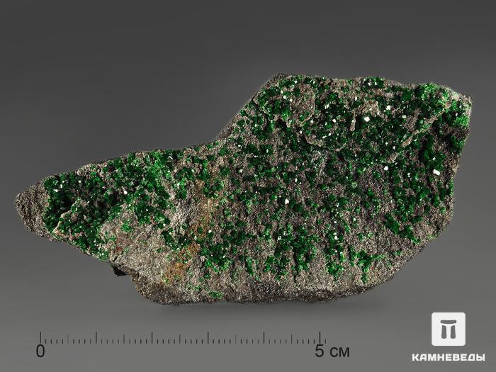 Уваровит (зелёный гранат), 8,5х4х1 см, 10-111/9, фото 1