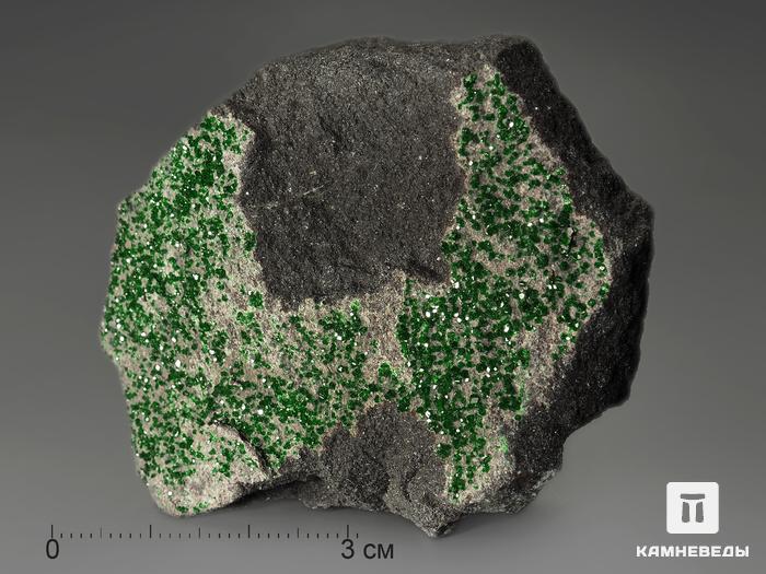 Уваровит (зелёный гранат), 6,3х4,8х2 см, 687, фото 2