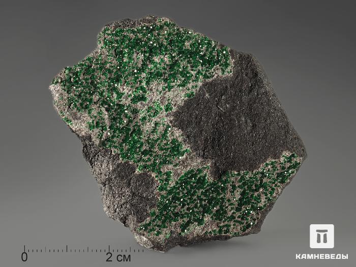 Уваровит (зелёный гранат), 6,3х4,8х2 см, 687, фото 1