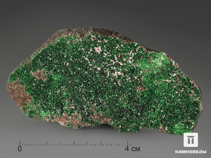 Уваровит (зелёный гранат),7,3х3,2х1,5 см, 10-111/17, фото 2