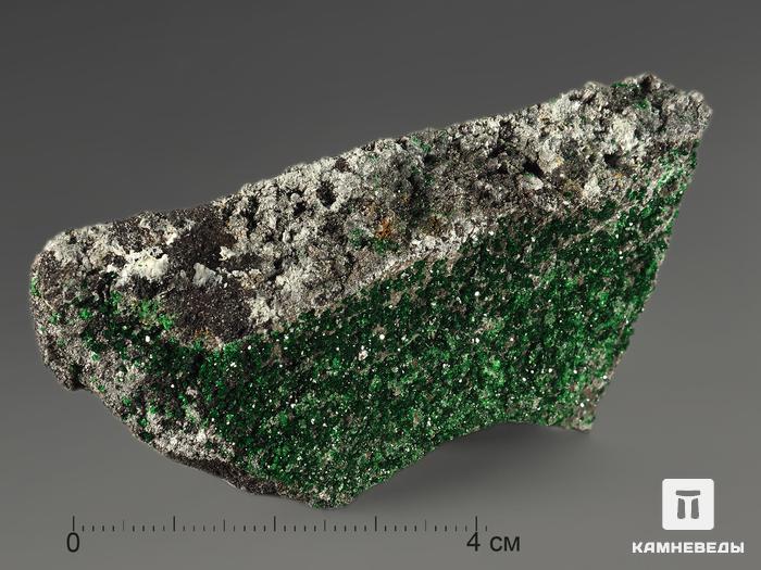 Уваровит (зелёный гранат),7,3х3,2х1,5 см, 10-111/17, фото 4