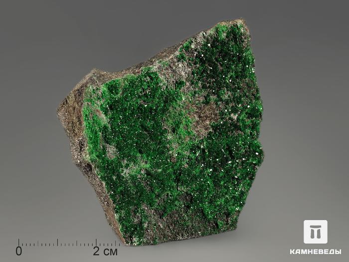 Уваровит (зелёный гранат), 5,5х3,8х2 см, 697, фото 7