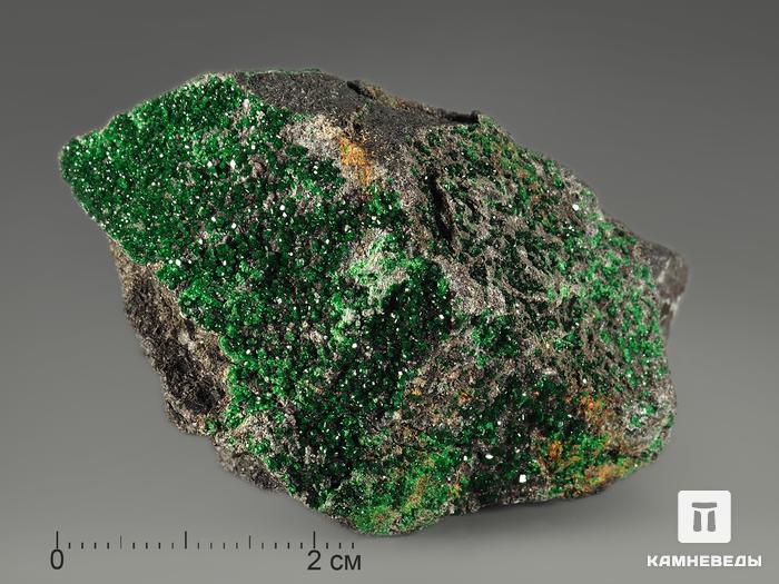 Уваровит (зелёный гранат), 5,5х3,8х2 см, 697, фото 11