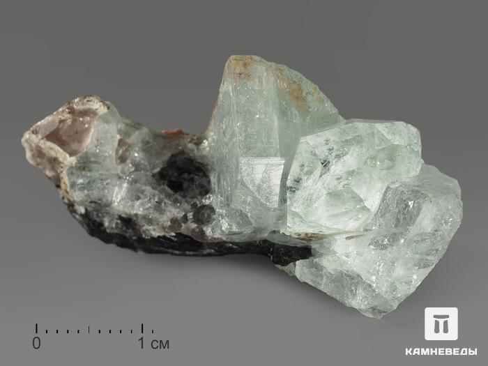 Топаз, кристаллы на породе 4,5х2,4х2,1 см, 10339, фото 1