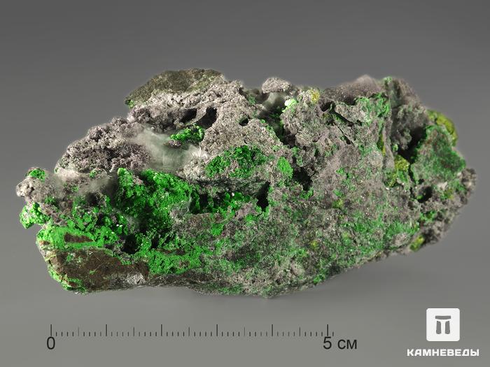 Уваровит (зелёный гранат) с титанитом, 8,7х3,9х2,2 см, 698, фото 2