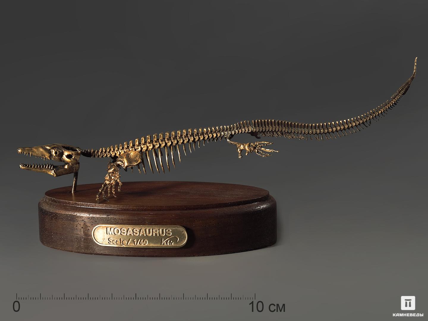 Модель скелета мозазавра MOSASAURUS модель из картона адмиралтейство