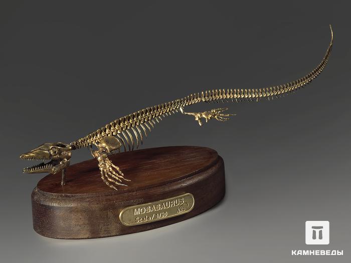 Модель скелета мозазавра MOSASAURUS, 5230, фото 2