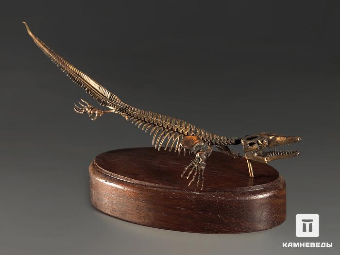 Модель скелета мозазавра MOSASAURUS, 5230, фото 3