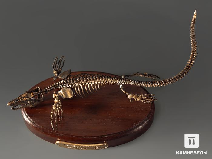 Модель скелета мозазавра MOSASAURUS, 5230, фото 5
