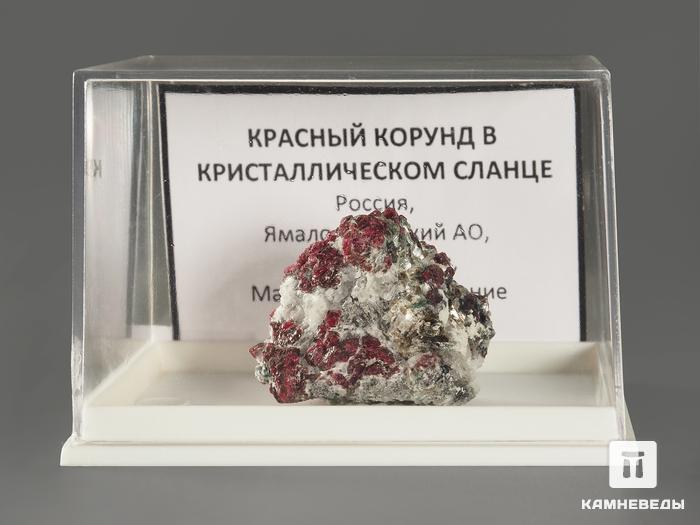 Кристаллы корунда красного в кристаллическом сланце, 2,5х2,2х2,1 см, 9965, фото 2