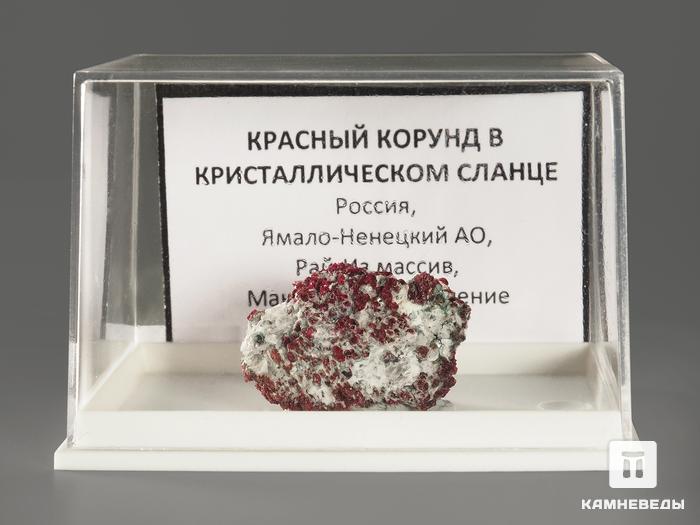 Кристаллы корунда красного в кристаллическом сланце, 2,4х2,2х1,4 см, 9963, фото 2
