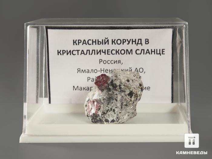 Корунд красный, кристаллы в кристаллическом сланце 2,5х2,2х1,5 см, 10-208/22, фото 2
