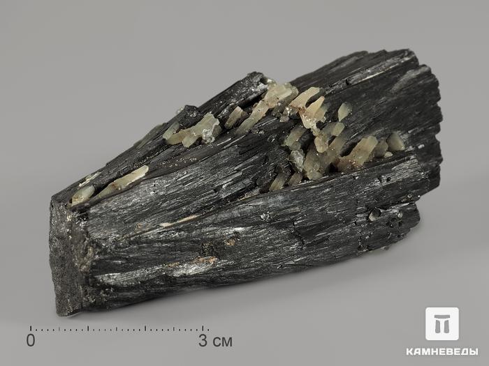 Ильваит, сросток кристаллов 7,7х3 см, 10108, фото 1