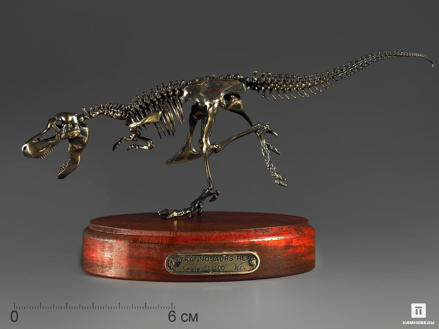 Модель скелета динозавра TYRANNOSAURUS шкатулка из натуральных камней медвежата в деревянном ларце