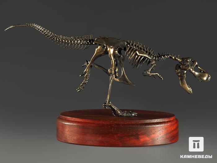 Модель скелета динозавра TYRANNOSAURUS, 4245, фото 2