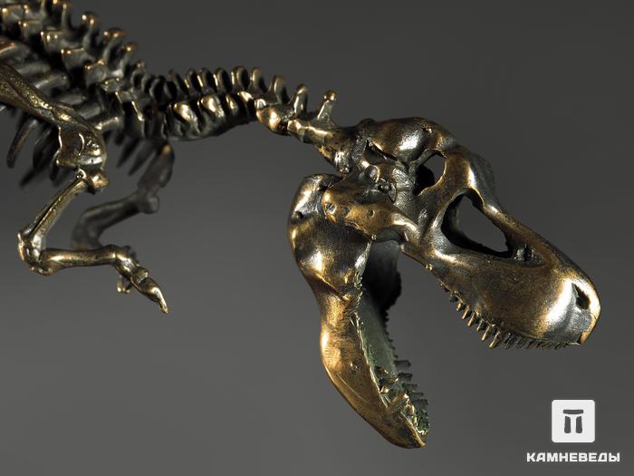 Модель скелета динозавра TYRANNOSAURUS, 4245, фото 3