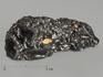 Индошинит, тектит 4,8х2,1х1,7 см, 10224, фото 1