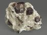 Гранат (альмандин), кристаллы со ставролитом в сланце, 7,4х6,2х4 см, 10198, фото 2