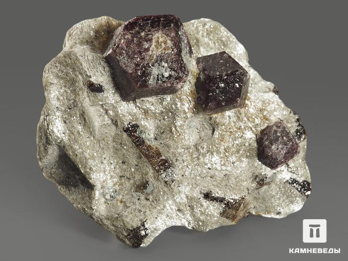 Гранат (альмандин), кристаллы со ставролитом в сланце, 7,4х6,2х4 см, 10198, фото 2