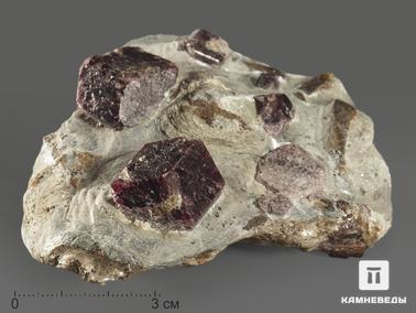 Гранат, Альмандин, Ставролит. Гранат (альмандин), кристаллы со ставролитом в сланце, 9,8х8,2х3,2 см
