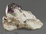 Гранат (альмандин), кристаллы со ставролитом в сланце, 6,6х4,9х2,9 см, 10196, фото 1
