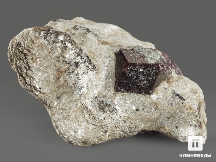 Гранат (альмандин), кристаллы со ставролитом в сланце, 6,6х4,9х2,9 см, 10196, фото 2