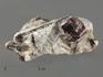 Гранат (альмандин), кристаллы со ставролитом в сланце, 8,2х5,4х3,3 см, 10197, фото 1