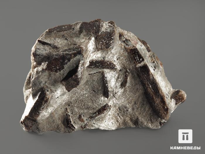 Гранат (альмандин), кристаллы со ставролитом в сланце, 8,2х5,4х3,3 см, 10197, фото 2