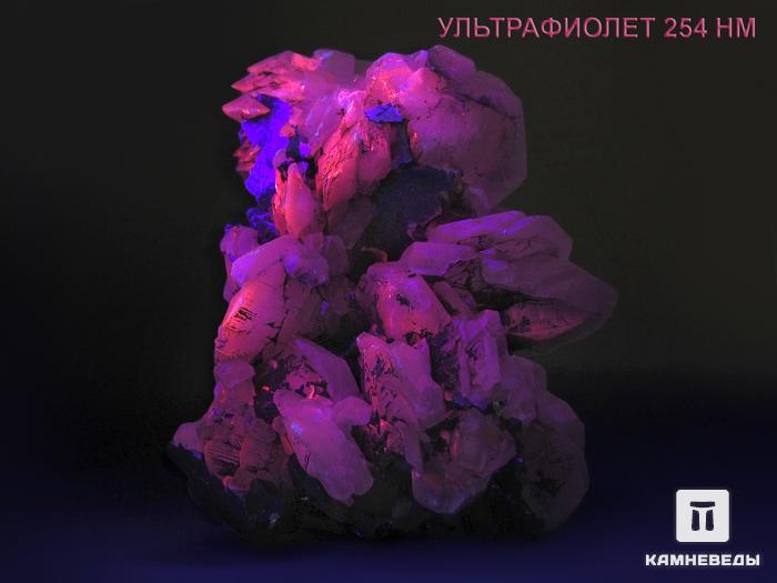 Кальцит с галенитом, сросток кристаллов 8х7х3,7 см, 10310, фото 2