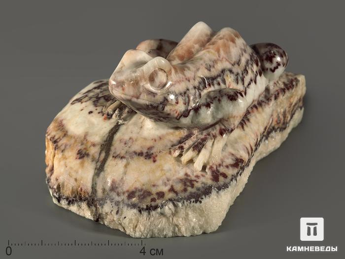 Лягушка из мраморного оникса, 10х7,3х5,1 см, 10575, фото 1