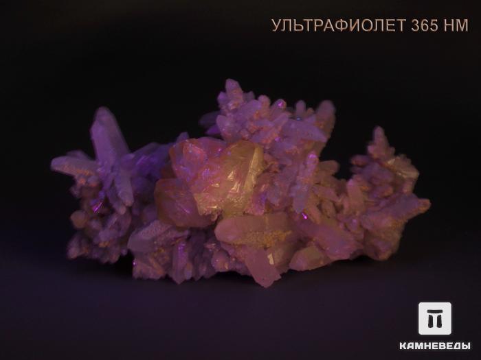 Кварц с кристаллом кальцита, друза 10,7х6,1х5,5 см, 10-232/31, фото 2