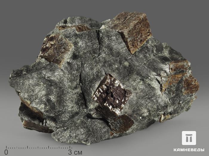 Брейнерит (железистый магнезит) в сланце, 9,6х6х4,2 см, 10506, фото 1