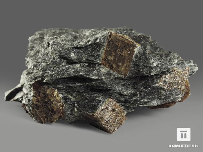 Брейнерит (железистый магнезит) в сланце, 9,6х6х4,2 см, 10506, фото 2
