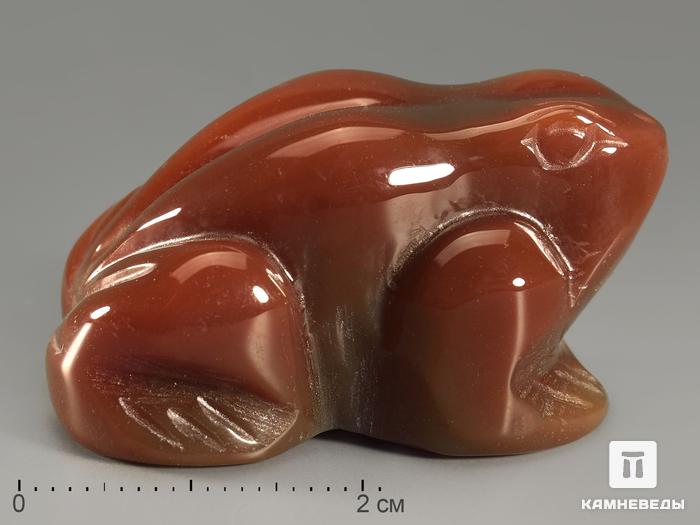 Лягушка из сердолика, 4х3х2,2 см, 10934, фото 1
