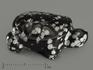 Черепаха из снежного обсидиана, 4х2,8х1,6 см, 10937, фото 1