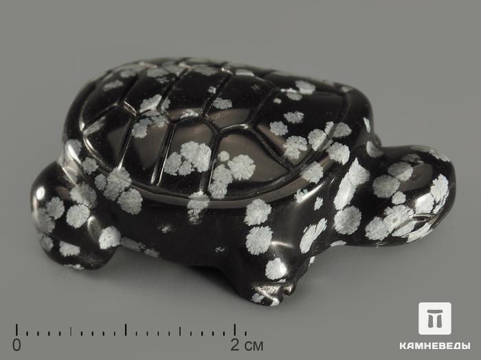 Черепаха из снежного обсидиана, 4х2,8х1,6 см, 10937, фото 1